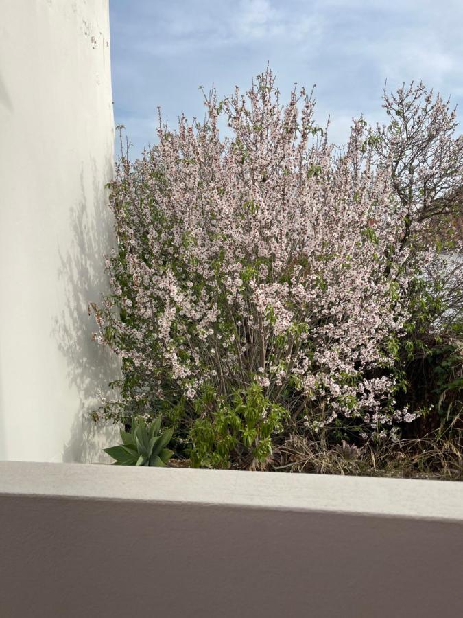 Guest house Casa Da Aldeia - Odiaxere