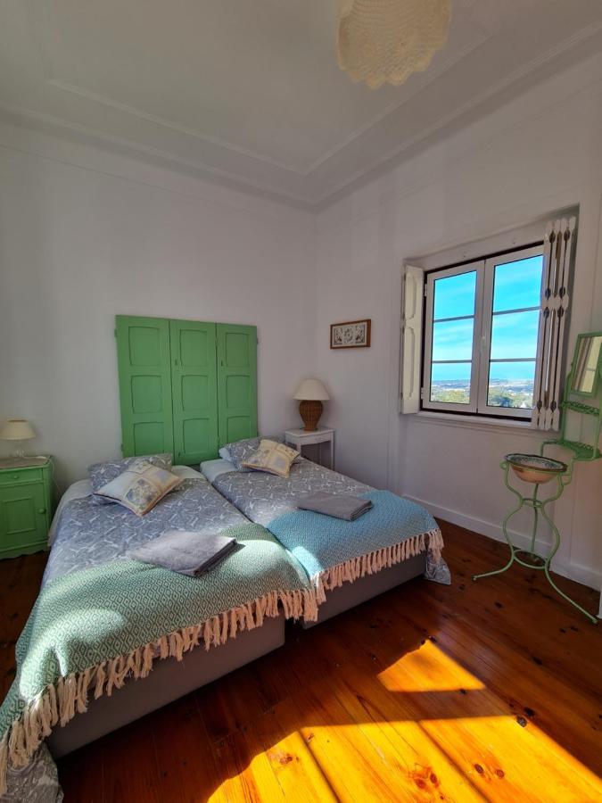 Maria Saudade Sintra
