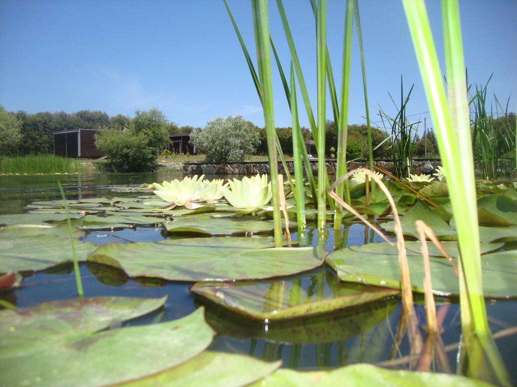 De Crianca Farm stay