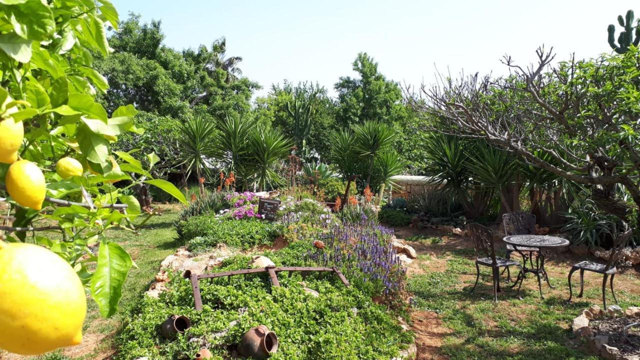 Bed & Breakfast Retiro Da Janela *