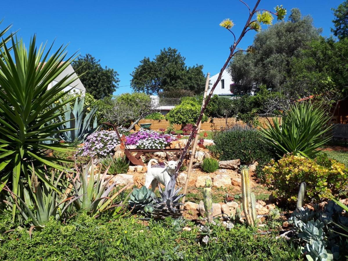 Bed & Breakfast Retiro Da Janela Boliqueime