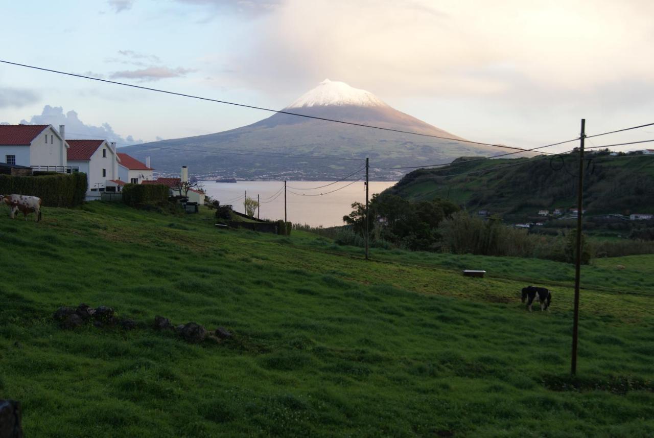 Apartment Do Almoxarife Horta (Azores)