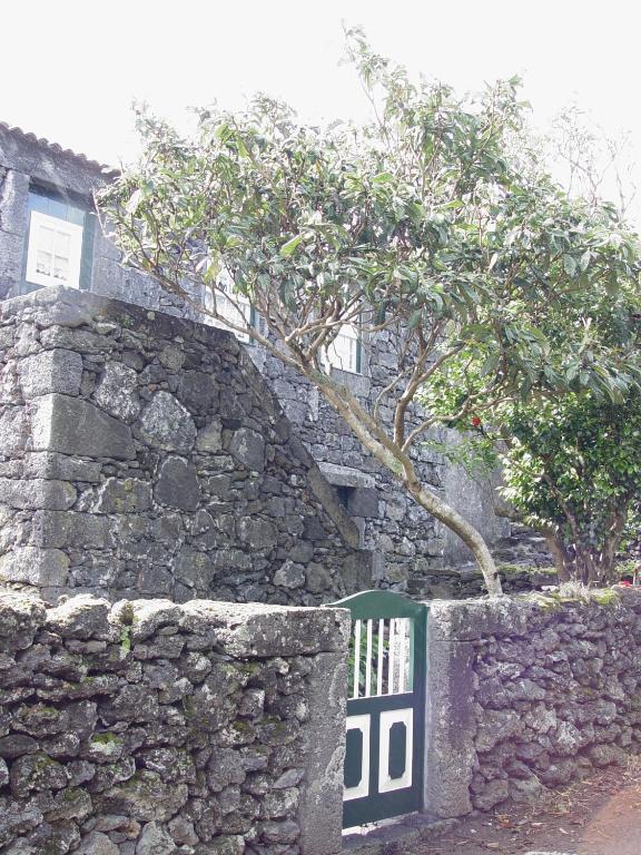 Country house Casas De Campo Housesinpico Prainha (Sao Roque do Pico)