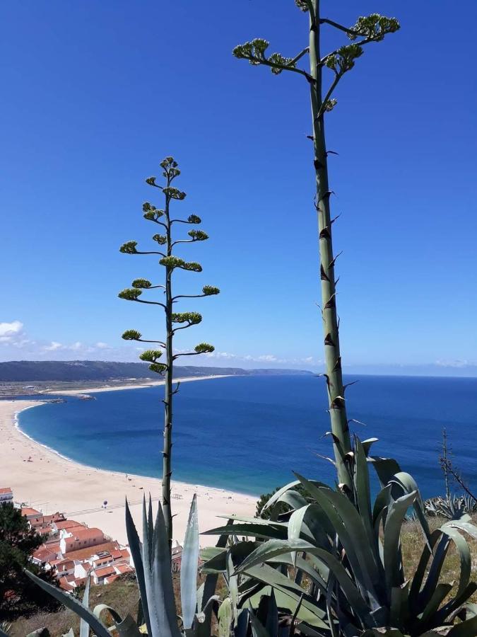 Refugio Mar