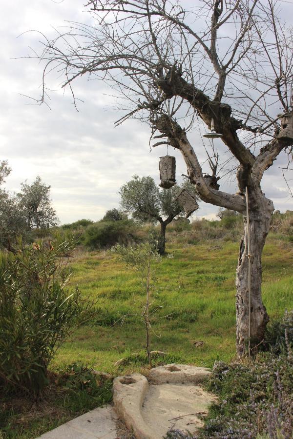 Tapada Da Serra * Idanha-a-Nova