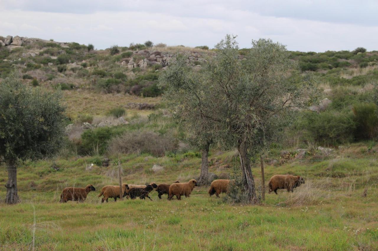 Tapada Da Serra Farm stay *