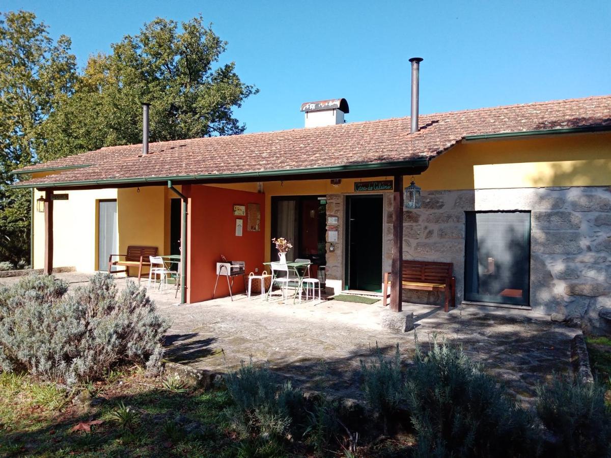 Casa Das Palmeiras *