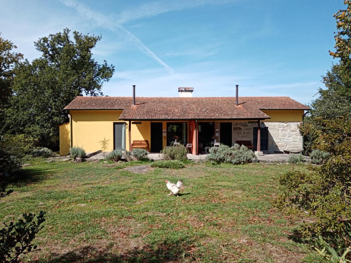Casa Das Palmeiras Farm stay