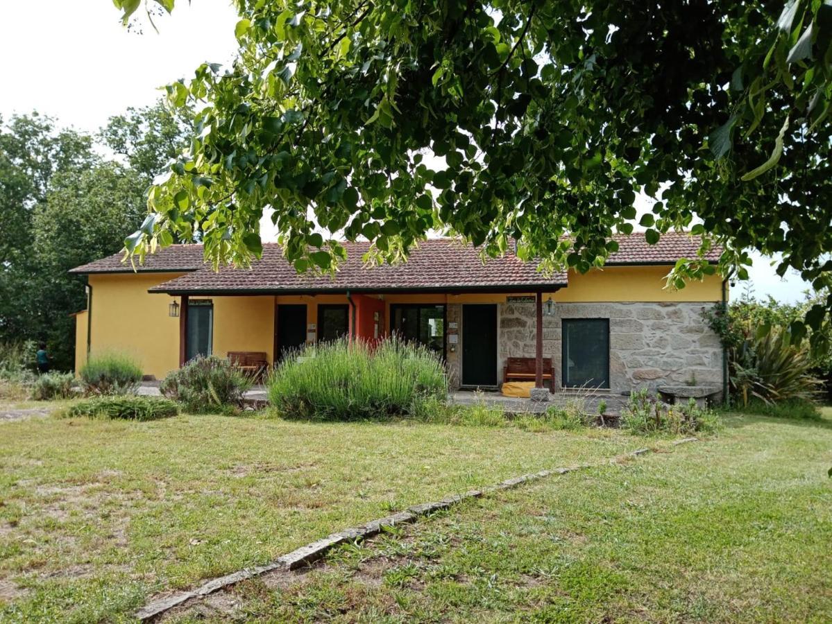 Casa Das Palmeiras Farm stay Mangualde