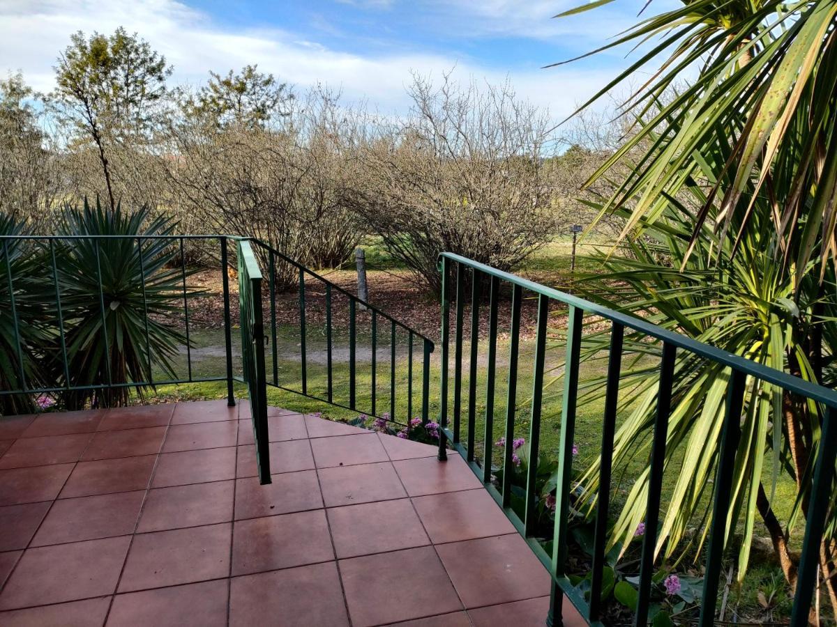 Casa Das Palmeiras Farm stay Mangualde