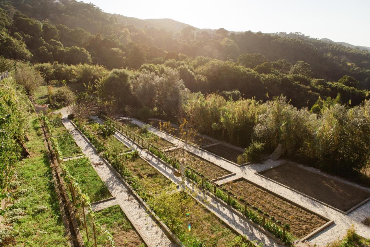 Quinta Da Bella Vista - Historic And Farm Guest house Sintra