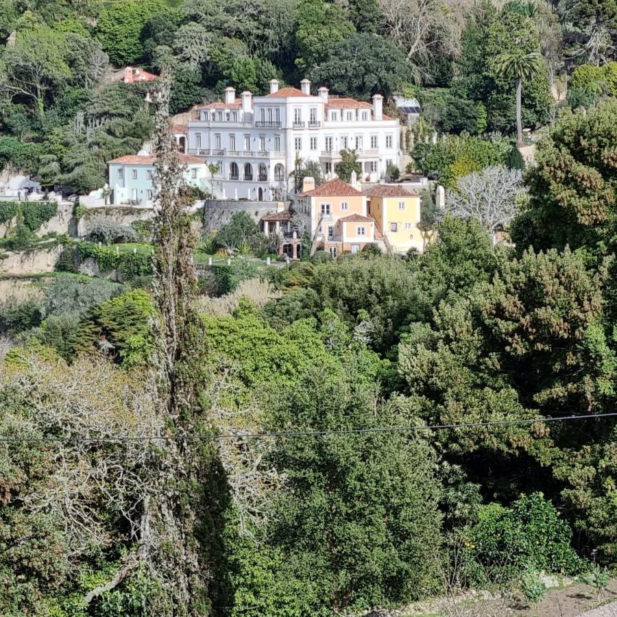 Quinta Da Bella Vista - Historic And Farm Guest house Sintra