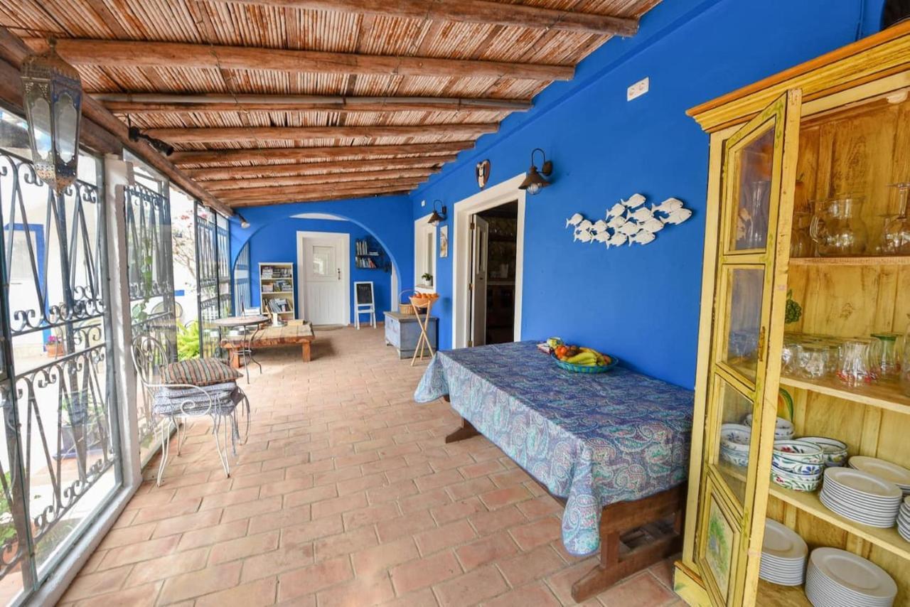 Apartment Quinta Achadas - Mimosa Lagos