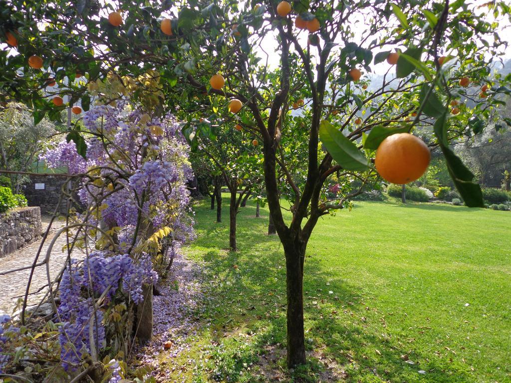 Country house Casa Da Eira De Moledo