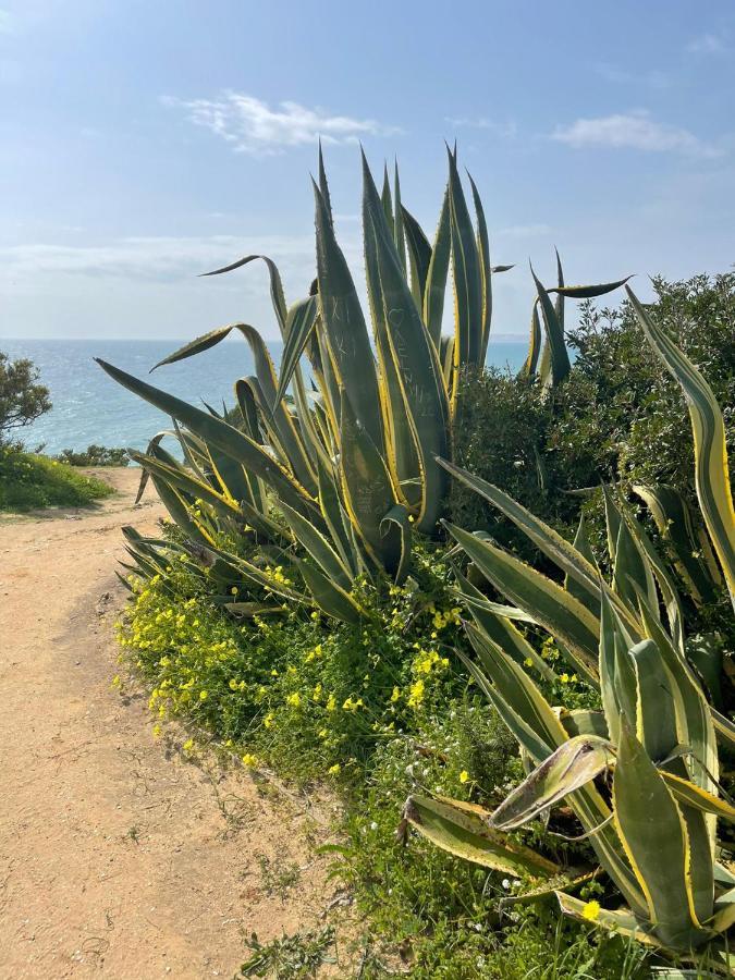 Casa Prainha, 10 Pessoas Сasa de vacaciones Alvor