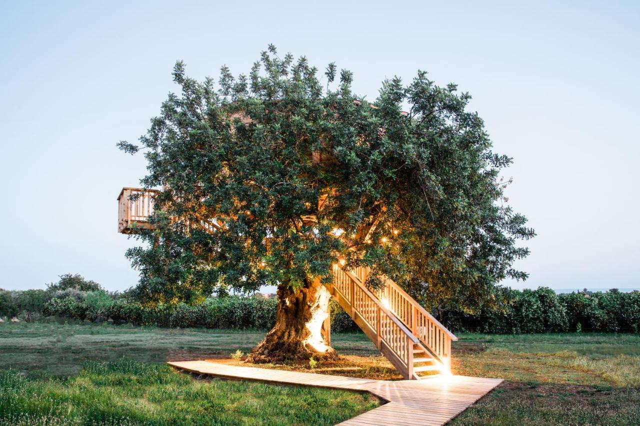Country house Conversas De Alpendre