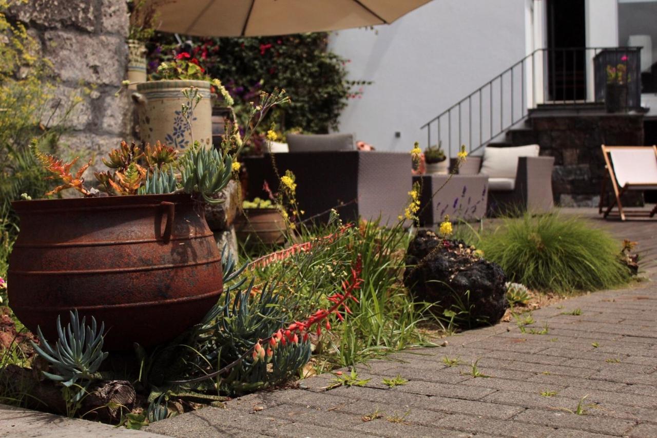 Casa Da Cisaltina Povoacao (Sao Miguel)