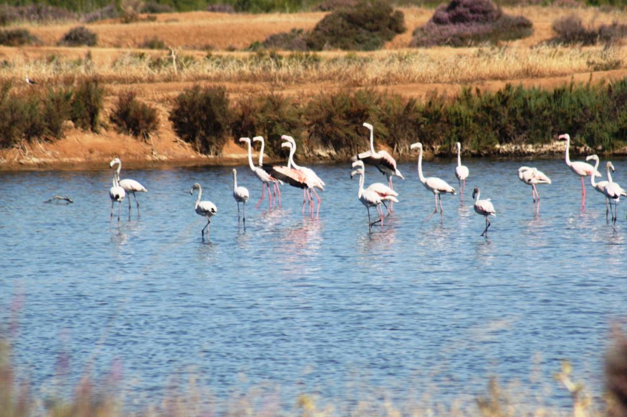 Herdade Dos Salgados Do Fialho Landhuis