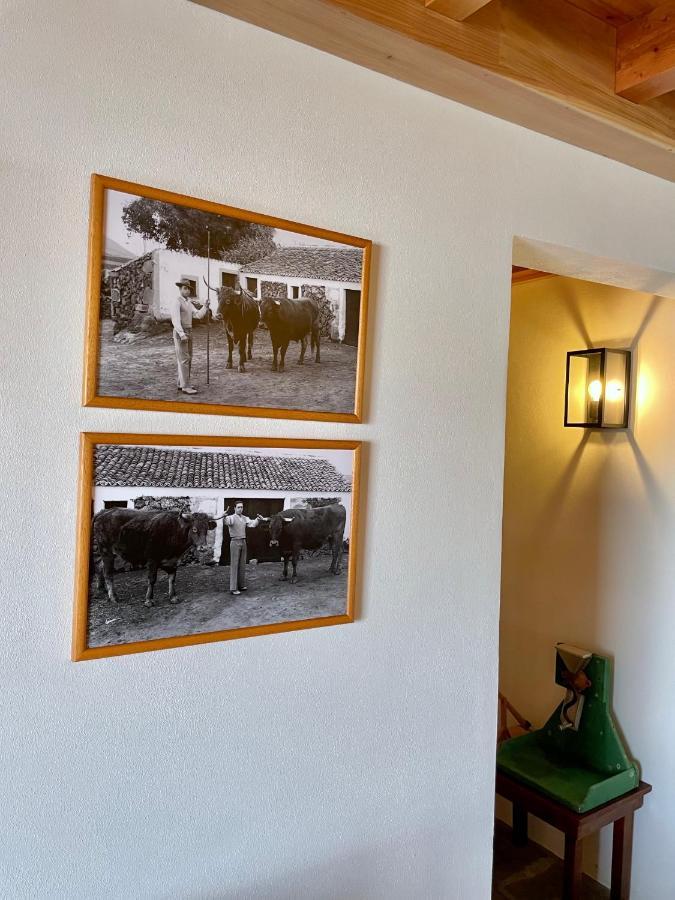Casa Do Avo Jose Alves Praia da Vitória