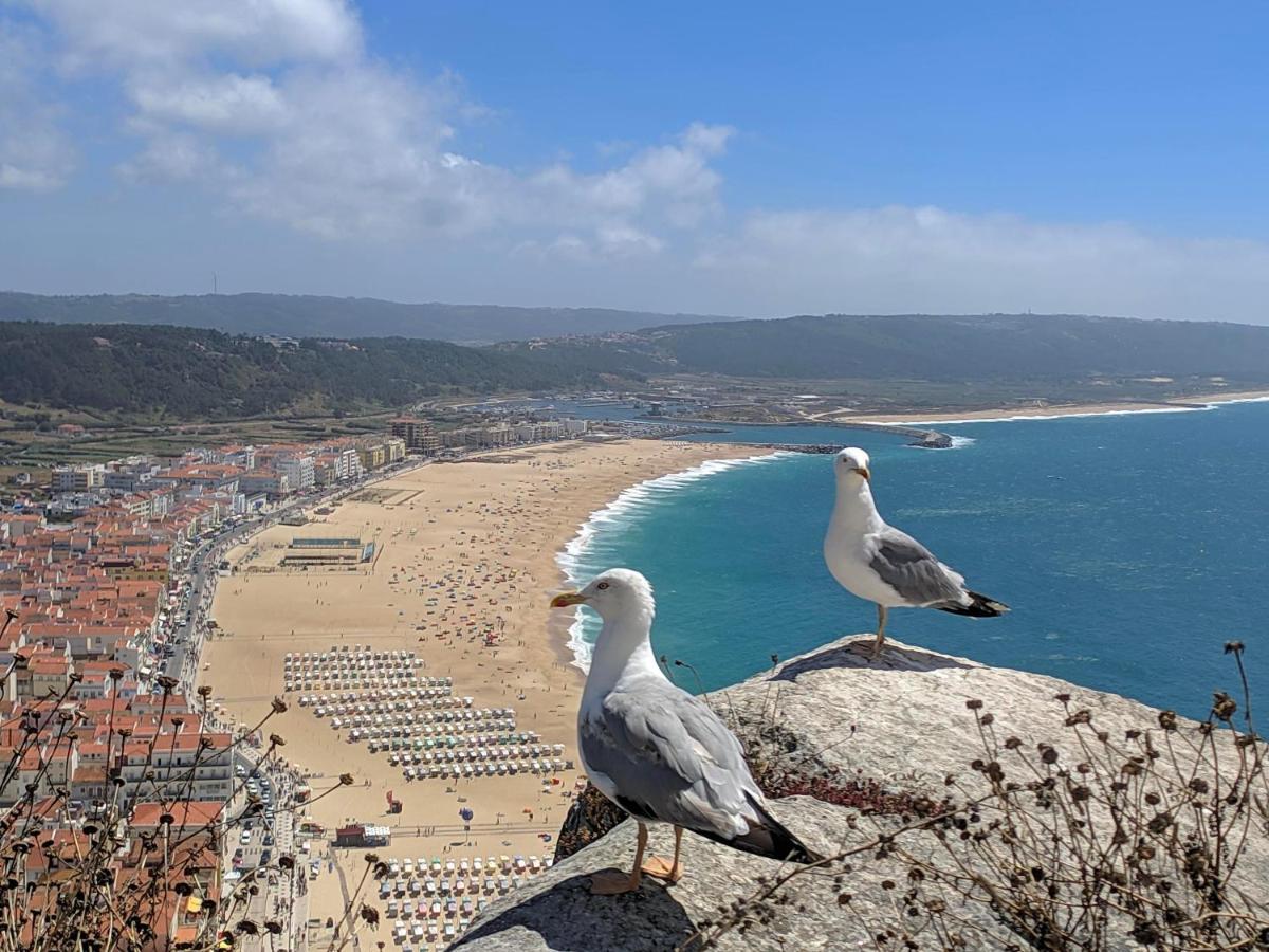 Apartamento Blue Boat House - The Atlantic Breeze Nazaré