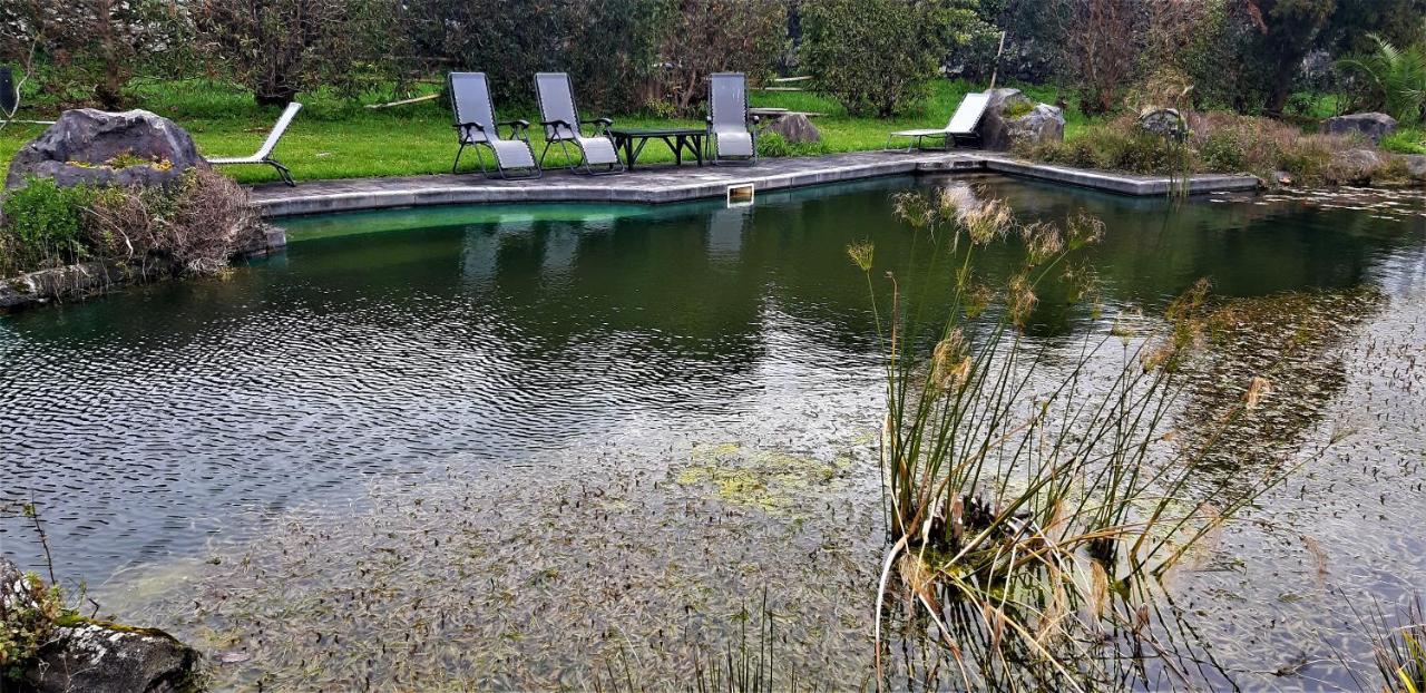 Quinta Do Bom Despacho Guest house
