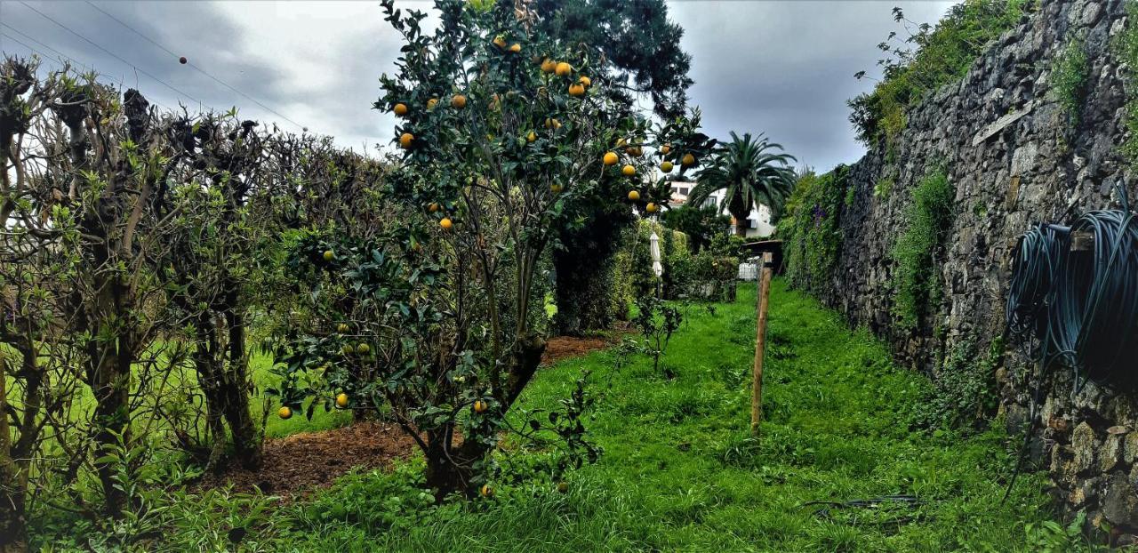 Quinta Do Bom Despacho Guest house