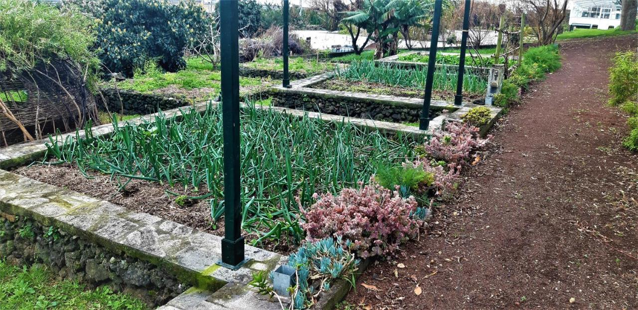 Quinta Do Bom Despacho 3*
