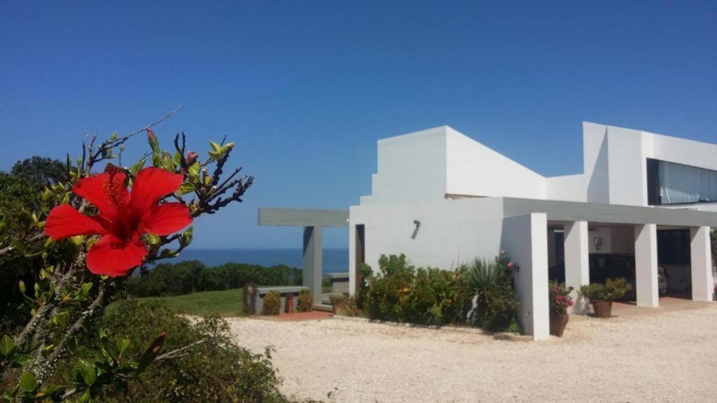 Herdade Amalia Rodrigues Zambujeira do Mar