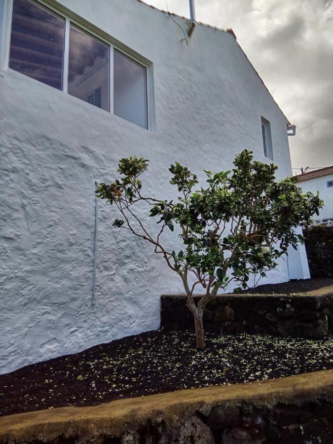 Casa Do Marcelino Lagarto Holiday home Sao Roque do Pico