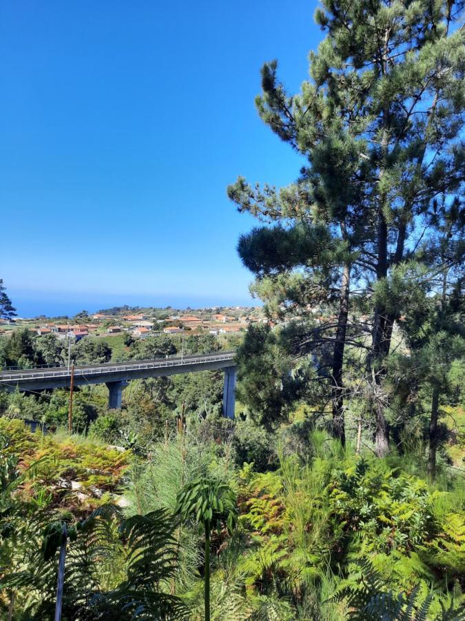 Palheiro Cavalinho Holiday home