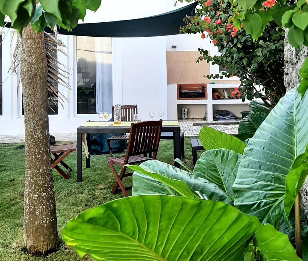 Nikau - Garden By The Sea *