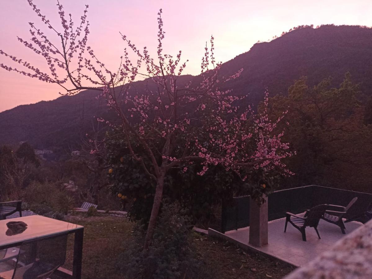 Apartamento Casinhas Da Lu Gerês