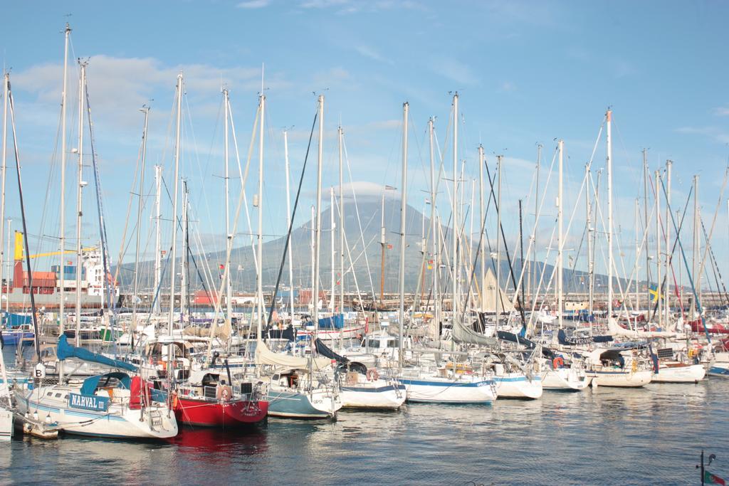 Faial Marina *