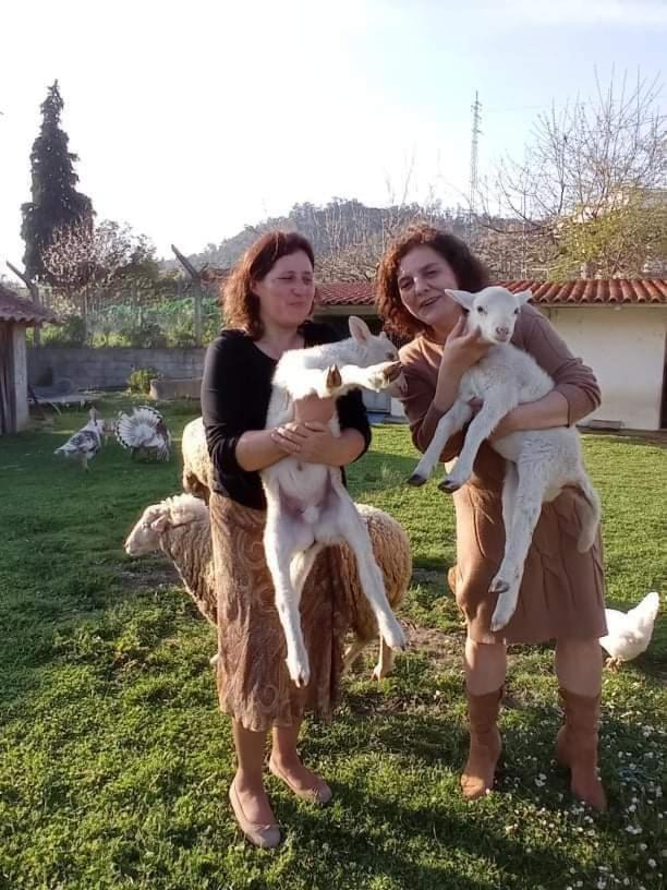 Homestay Quinta Da Ribeirinha