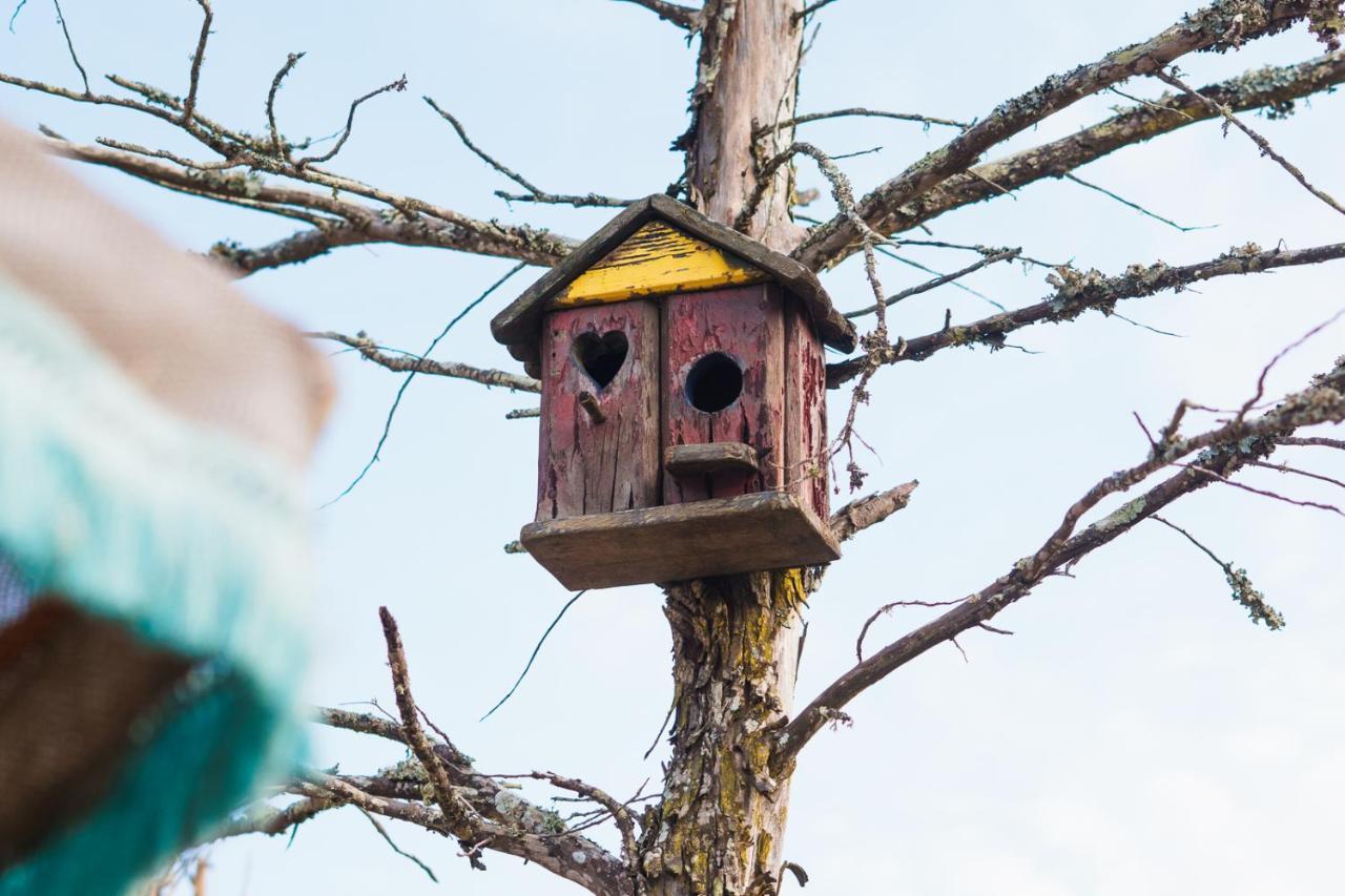 Econature Dagaio Handmade Paradise Vakantieboerderij *