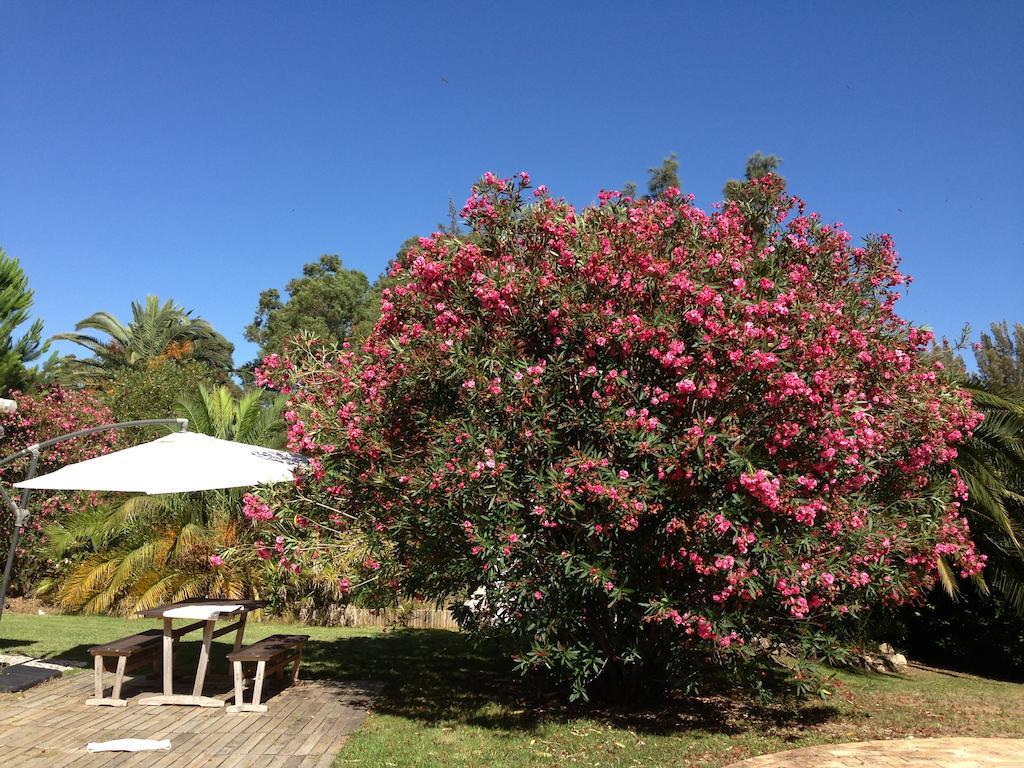 Golfinho Casa de férias Alvor