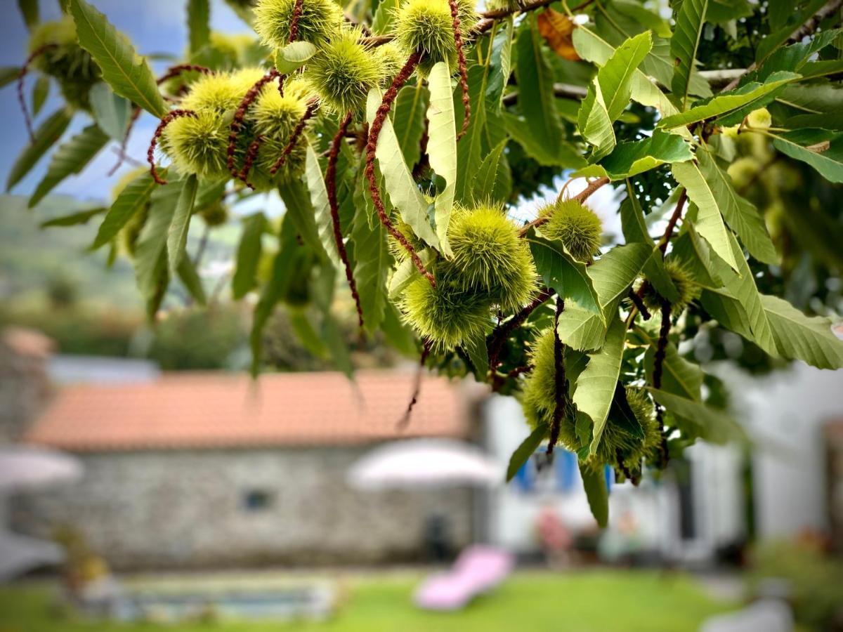 Casa Do Priolo - Villaverde Azores Holiday home *