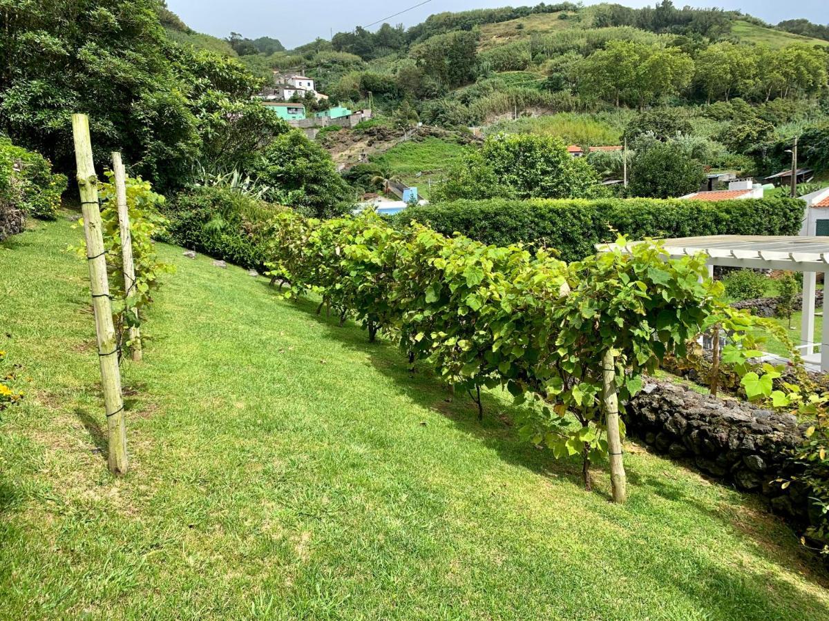 Holiday home Casa Do Priolo - Villaverde Azores Feteiras