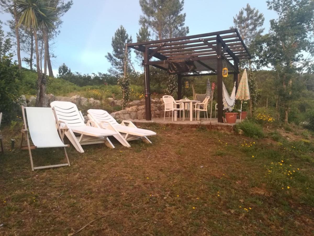 Homestay Quinta Do Cambeiro