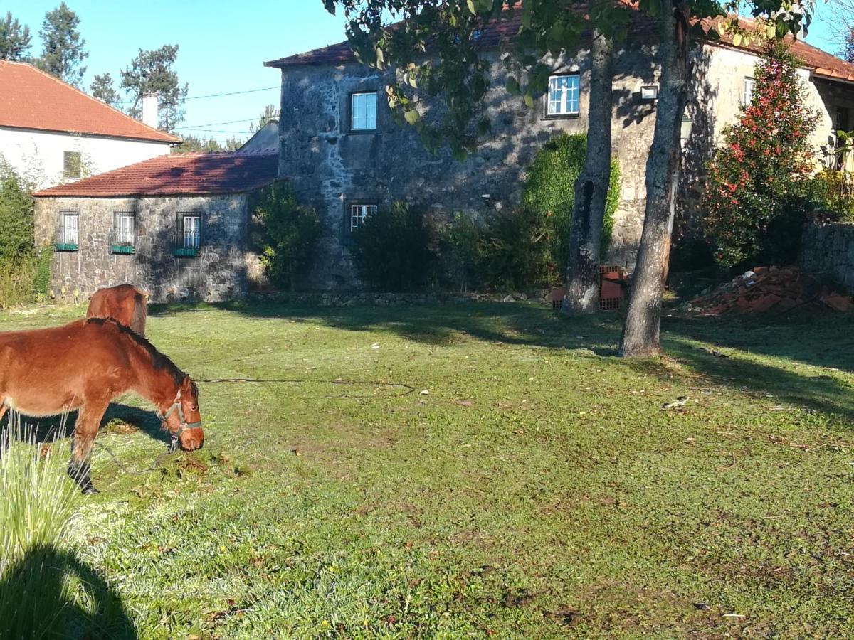 Quinta Do Cambeiro Homestay *