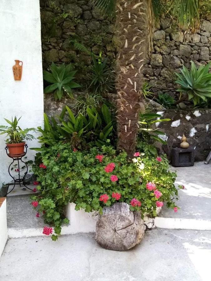 Ribeira Da Praia House Holiday home *