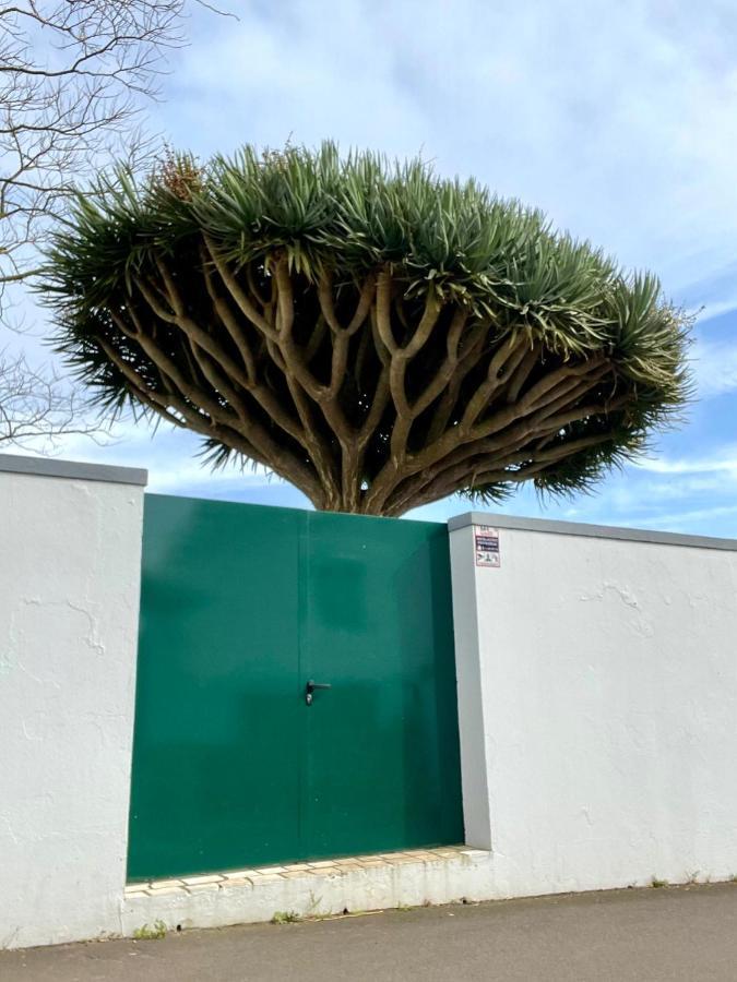 Casa As Sete Holiday home