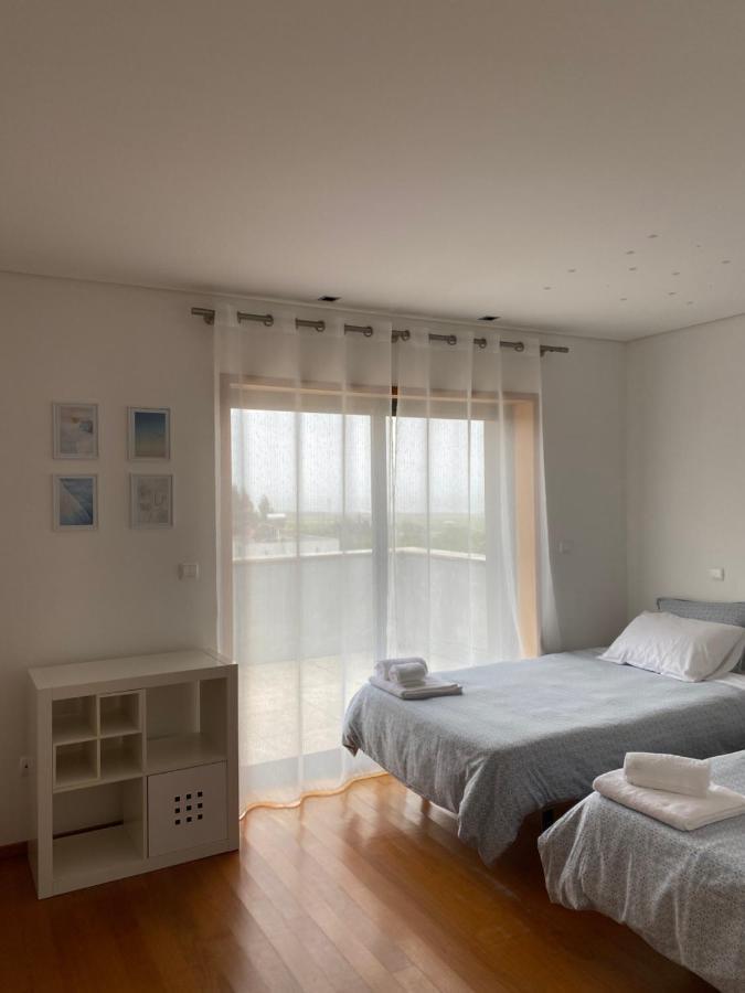 Hill & House Holiday home Viana do Castelo
