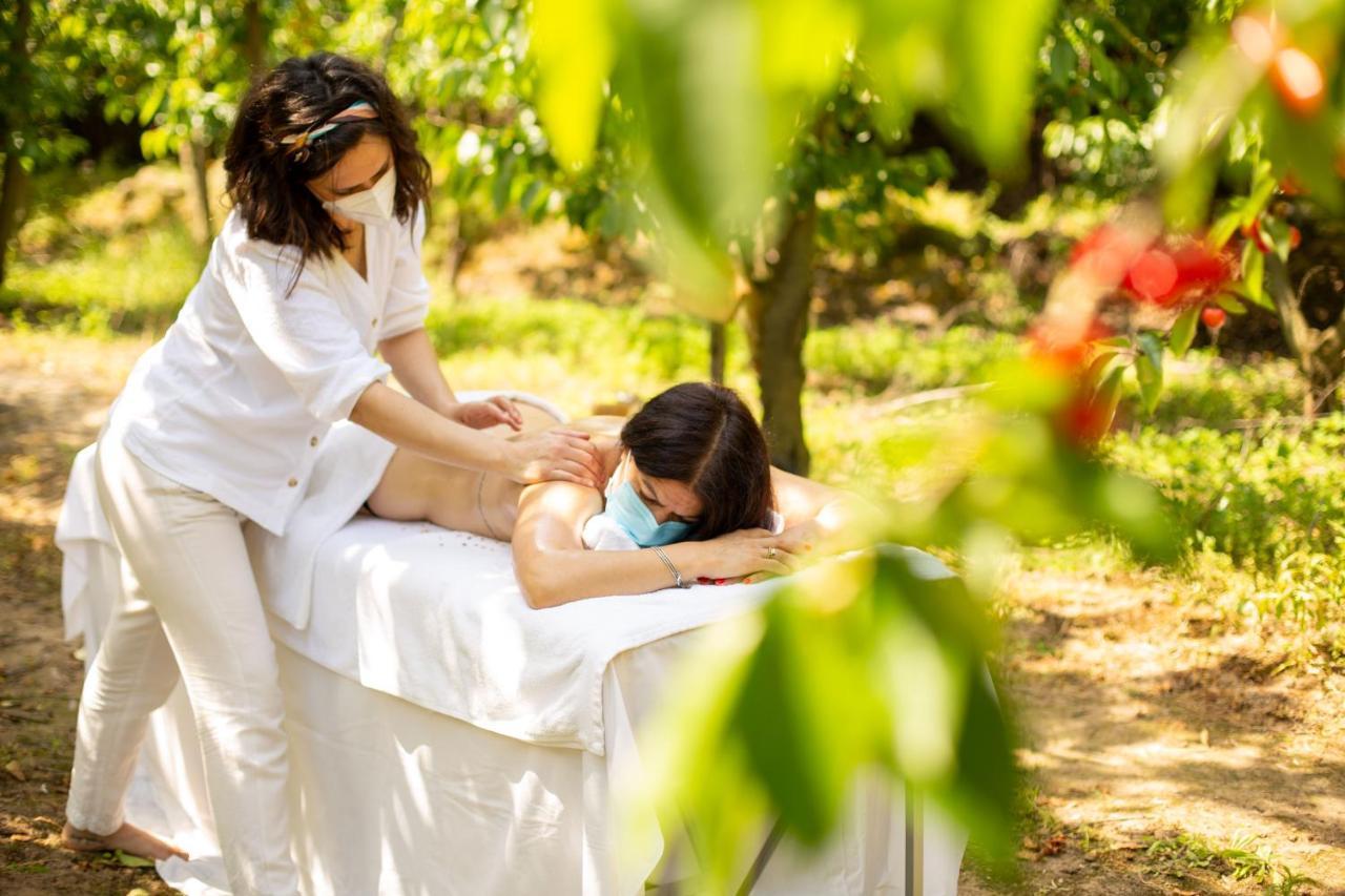 Agroturismo Quinta Dos Padres Santos, Agroturismo&spa Lamego