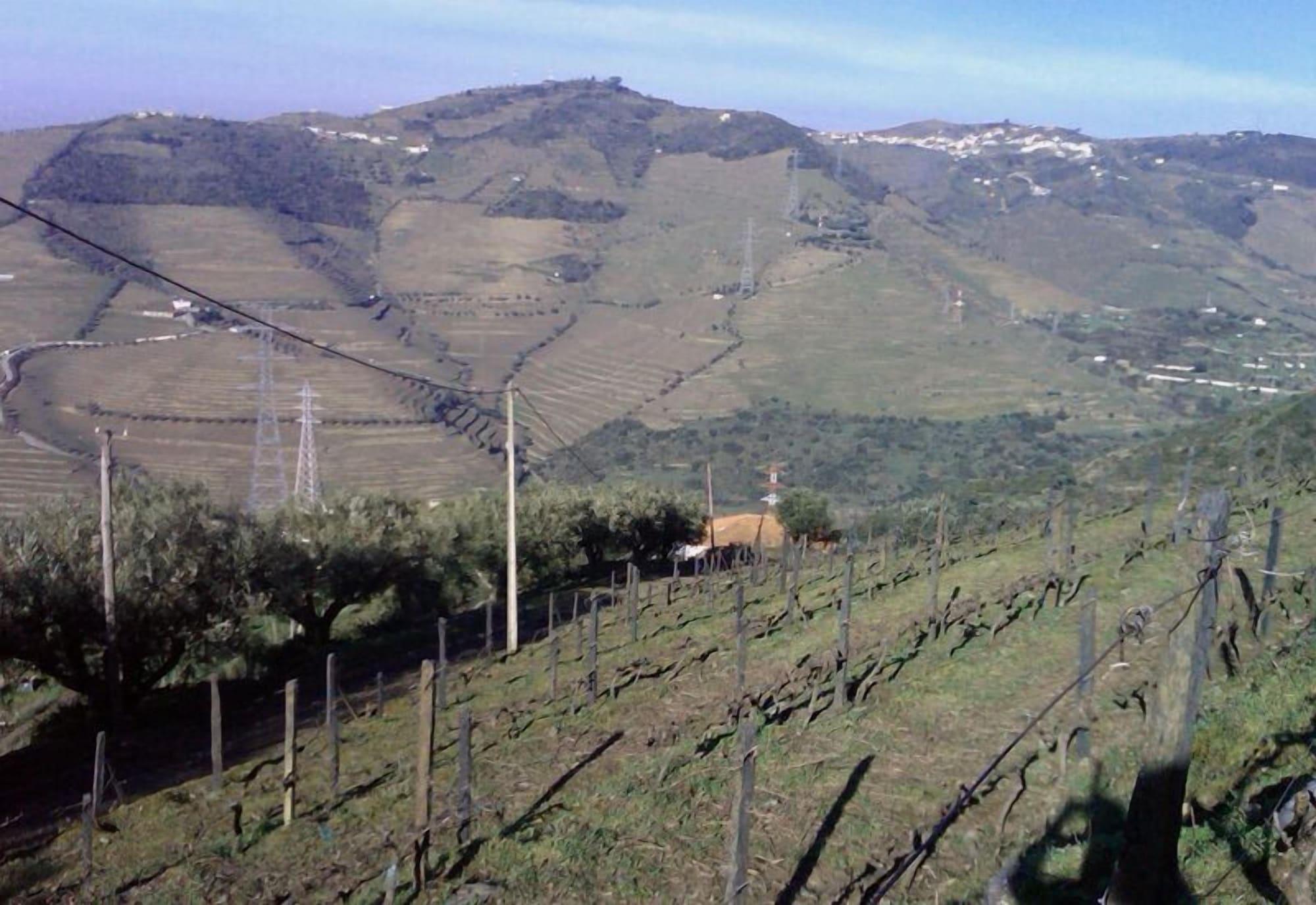 Quinta De Casaldronho Wine
