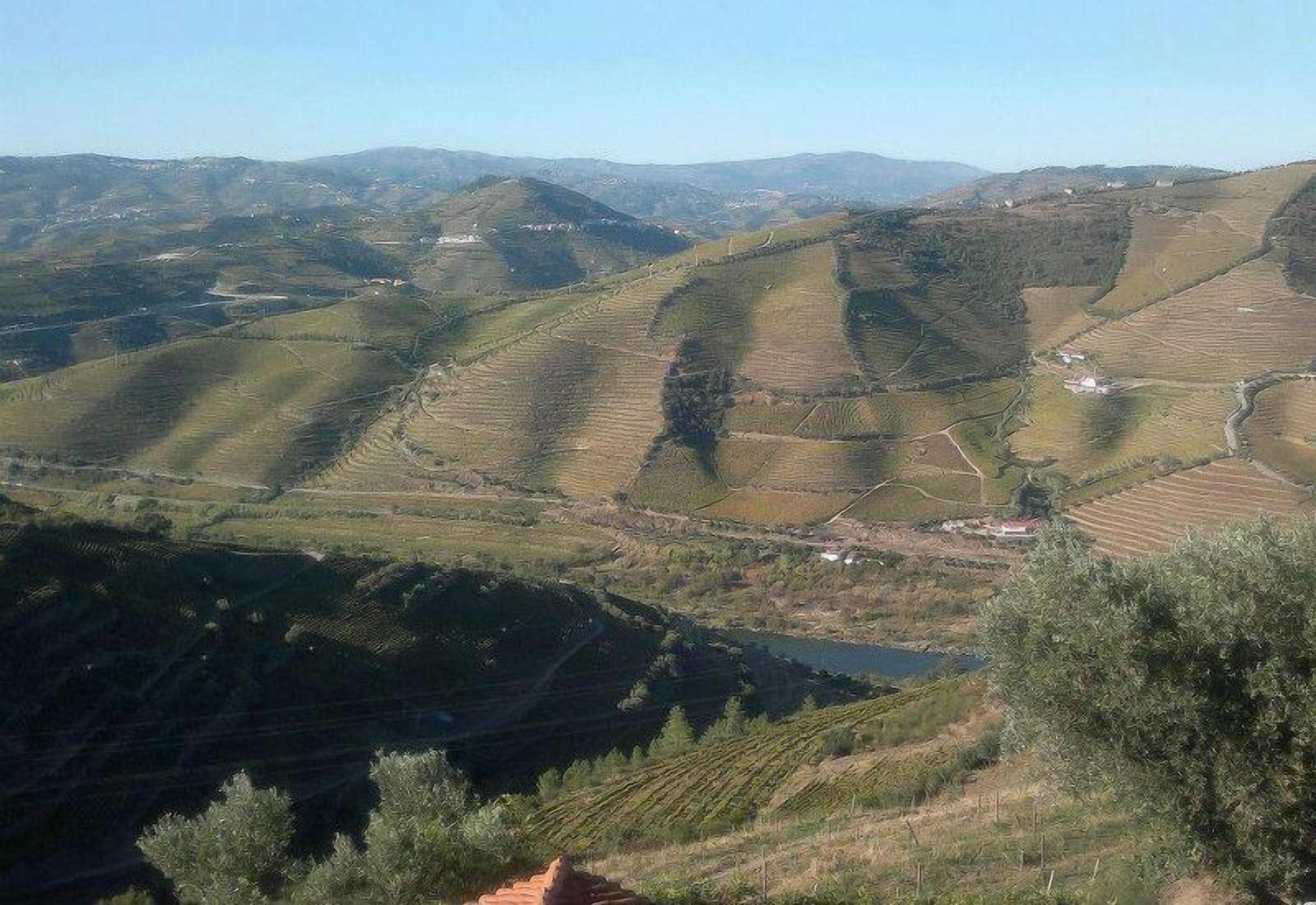 Quinta De Casaldronho Wine