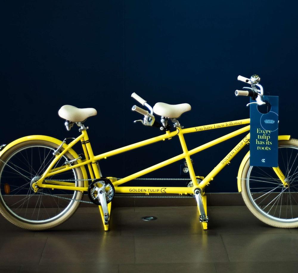 Golden Tulip