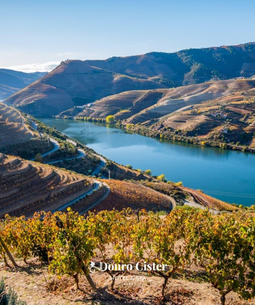 Resort Douro Cister Ucanha