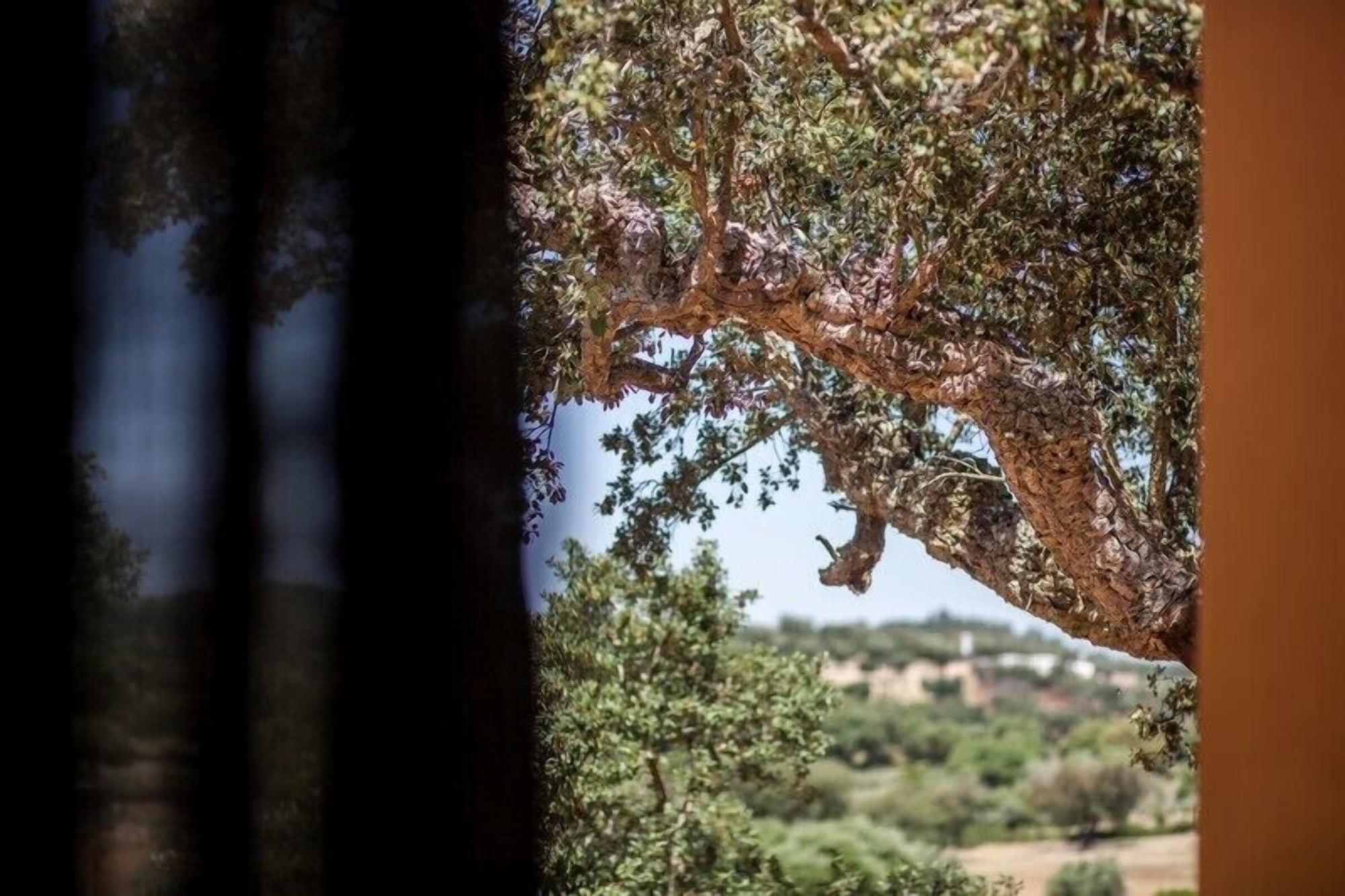 Agroturismo Monte Da Esperanca *