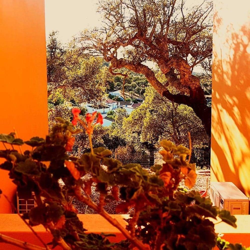 Monte Da Esperanca Vakantieboerderij Esperanca (Portalegre)